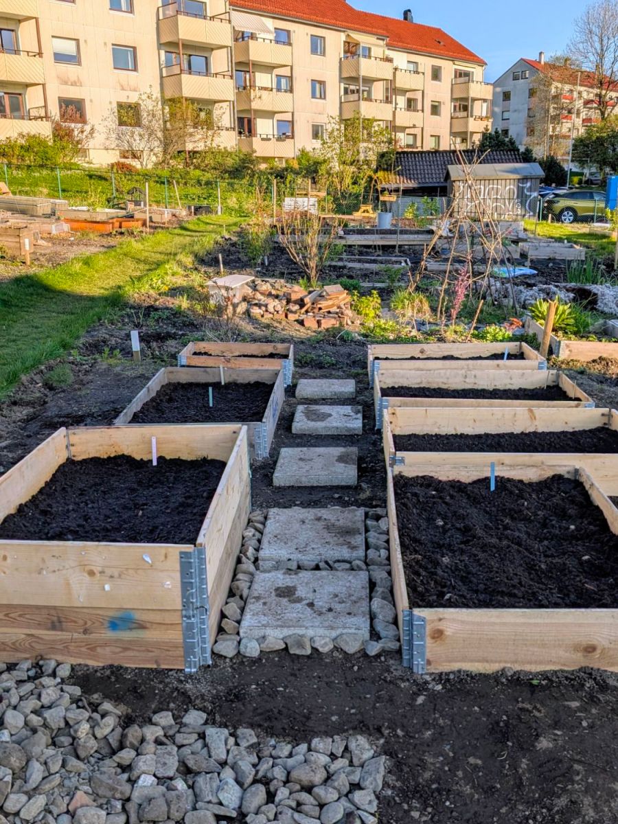 Alle frø satt&nbsp;🌱