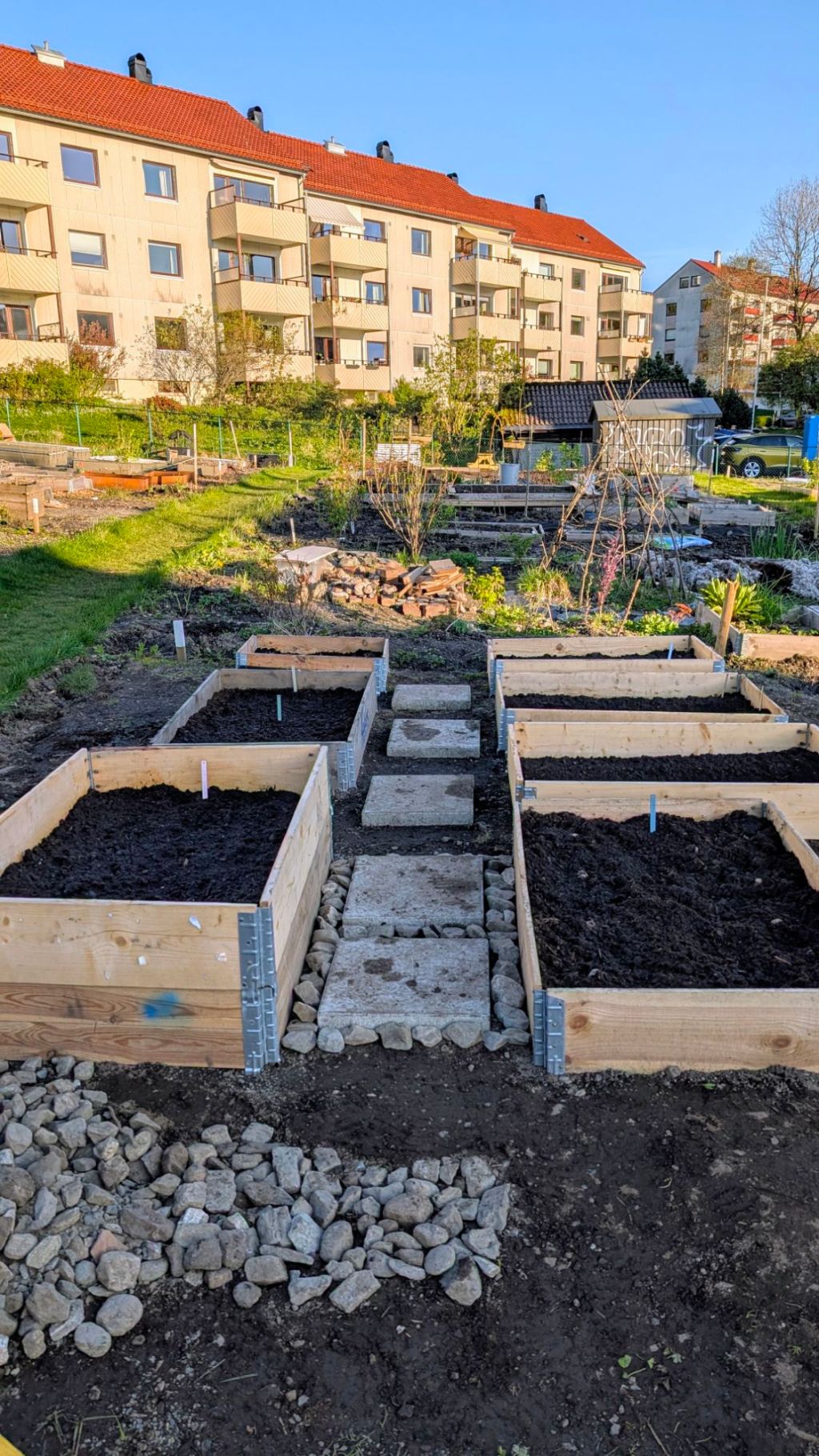 Alle frø satt&nbsp;🌱